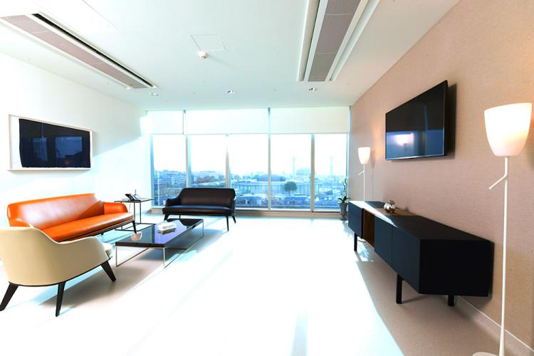 VIP Suite <a href="https://abdali.octasolutions.me/sites/default/files/pdf/rooms%20brochure-en.pdf" target="_blank">Rooms Brochure</a>